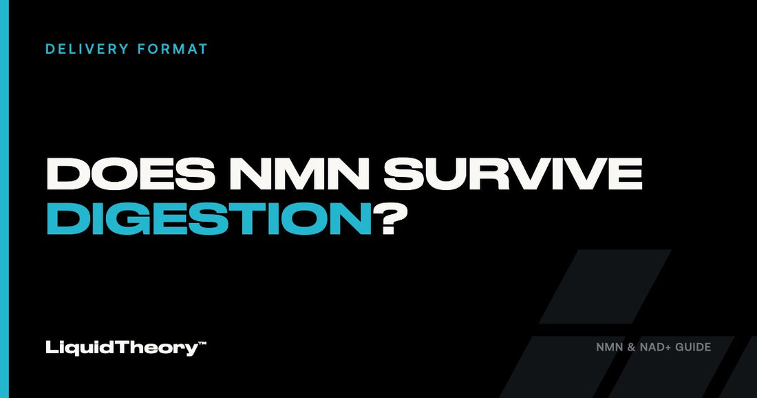 Does NMN survive digestion — Liquid Theory Guide
